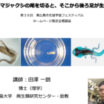 「オタマジャクシの尾を切るとそこから後ろ足が生える？！（田澤 一朗 助教）」東広島市生涯学習フェスティバル (2020/11/1)