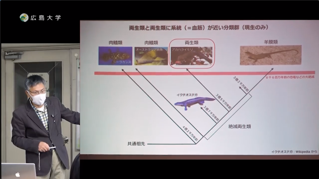 田澤一朗 助教「両生類の進化と多様性」