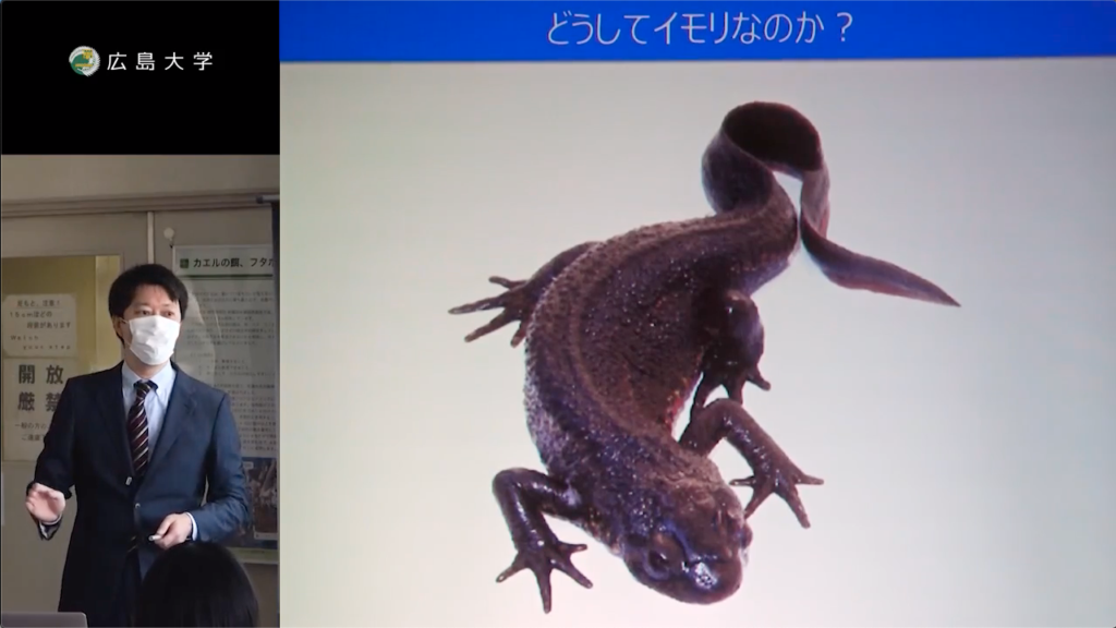 林 利憲 教授「両生類の再生現象とその仕組み」