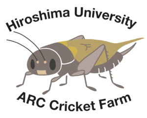両生類研究センターコオロギ飼育施設のシンボルイメージを作製しました 21 3 19 広島大学両生類研究センター